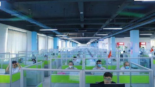 金山驕傲 工業(yè)互聯網數據服務領域集體與個人獲市級表彰